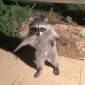 Meet your Posher, Jericho